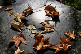 Buien, wind, maar later in de week zachter weer