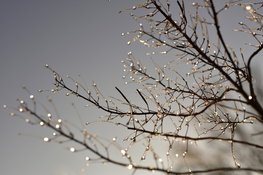 Wisselvallig winterweer houdt aan