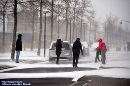 Winterse zondag in beeld