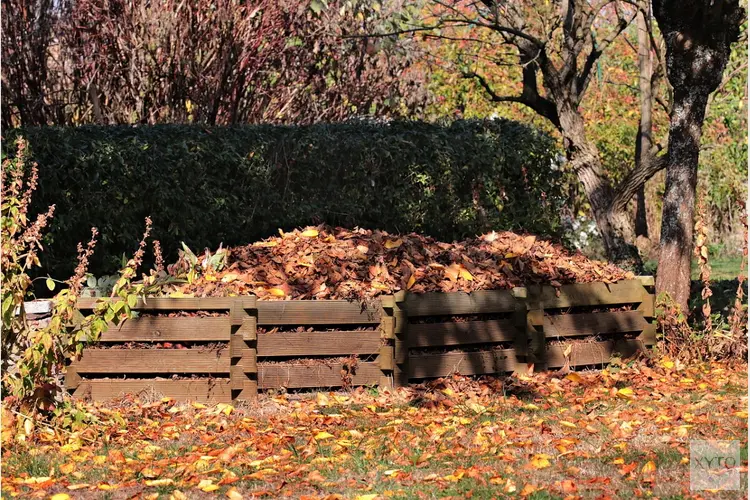 Composteercursus op woensdag 16 november