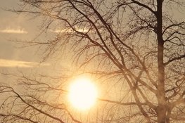 Temperatuur klimt naar dubbele cijfers