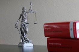 Gevangenisstraf en TBS voor dodelijke mishandeling in kliniek Zuidlaren