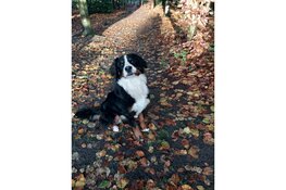 Samen een heerlijke boswandeling