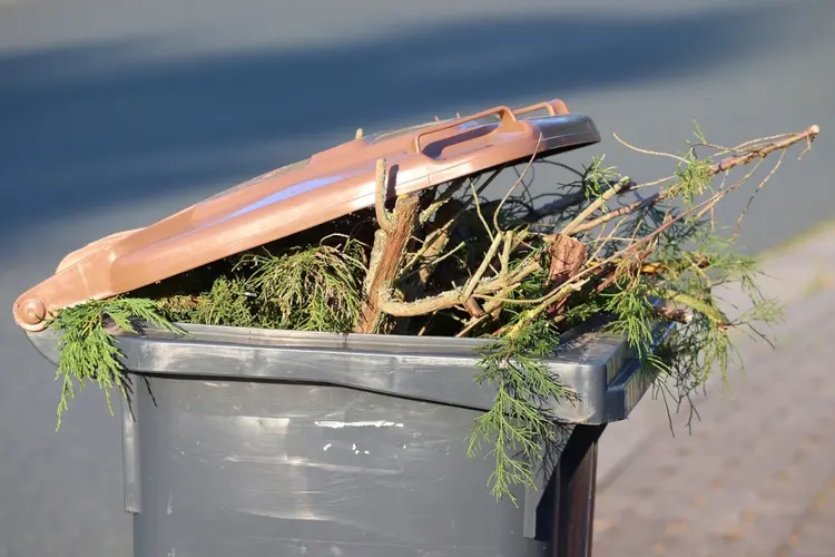 Takkenbrengdag 25 januari
