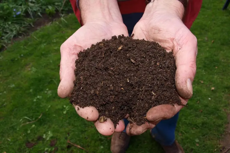 Kom gratis compost halen