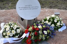 Veertiende Drentse Veteranendag in Assen