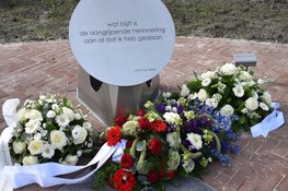 15e Drentse Veteranendag in Assen